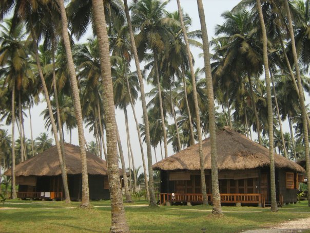 Beyin Beach Resort joined local fishermen in Ghana to found the Beyin Turtle Conservation Project.