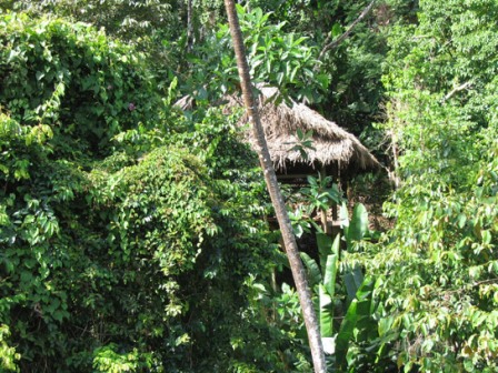 la loma jungle lodge