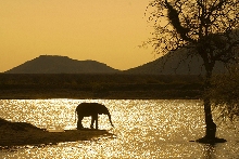 Mosetlha Bush Camp